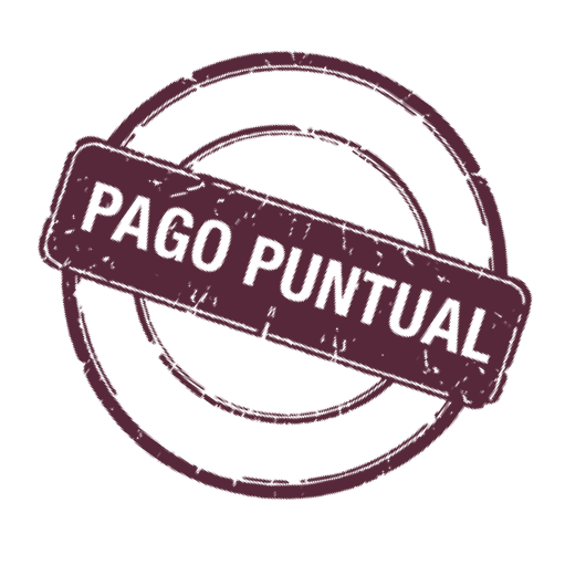 Logo pago puntual sirelyf