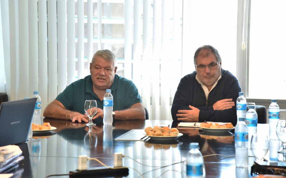 Reunión de la Comisión Revisora de Cuentas y Control de los Emprendimientos