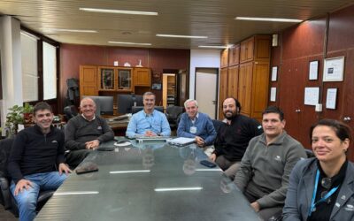 Reunión de autoridades de la CNE junto a la Comisión Seccional